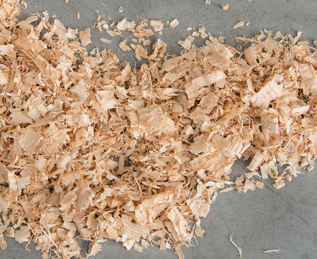 A pile of Superior Shavings pine shavings